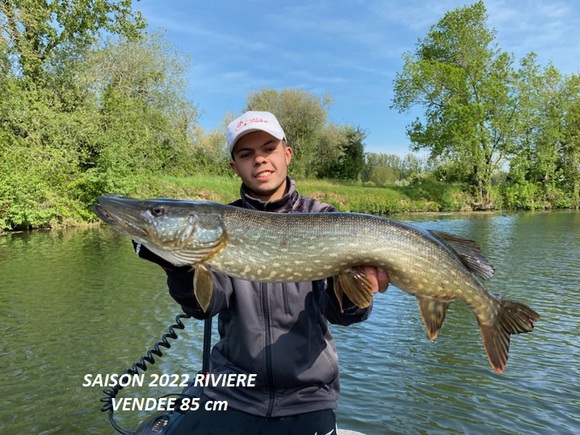 Brochet