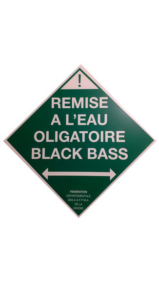 No-Kill Black-Bass Pierre-Brune