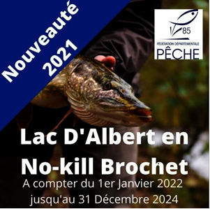 No-Kill Brochet Albert